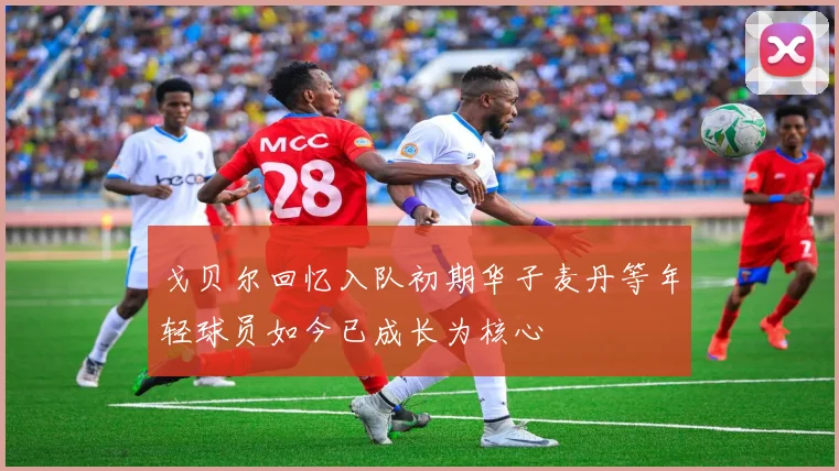 戈贝尔回忆入队初期华子麦丹等年轻球员如今已成长为核心