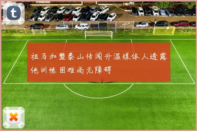 祖马加盟泰山传闻升温媒体人透露他训练困难尚无障碍